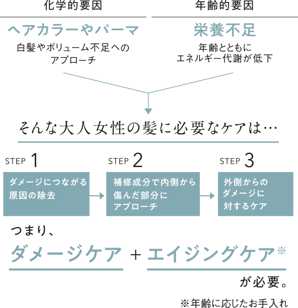 アジュバン Class S