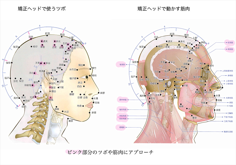 身体のたるみは筋肉の衰え、筋肉のコリと歪みへと