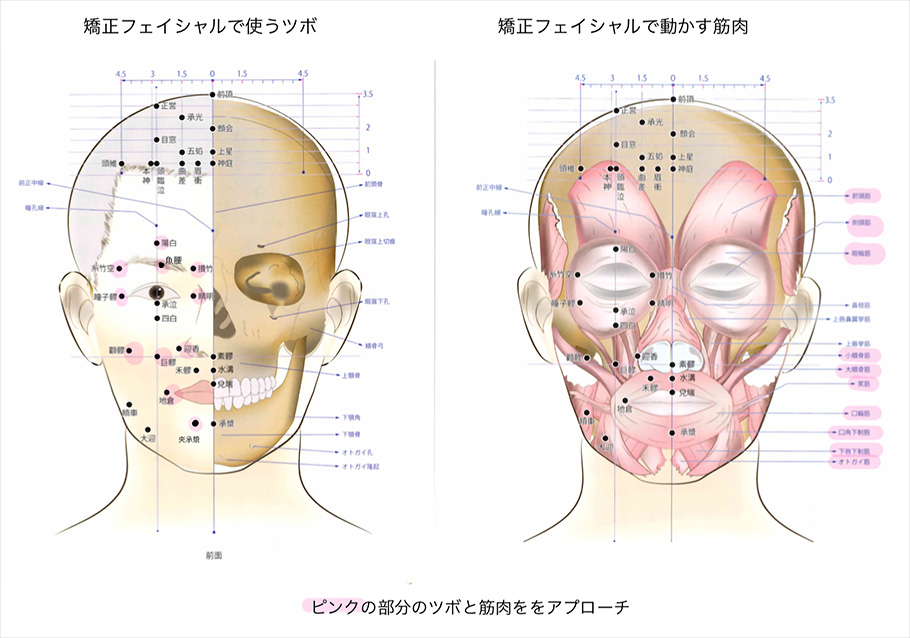 身体のたるみは筋肉の衰え、筋肉のコリと歪みへと